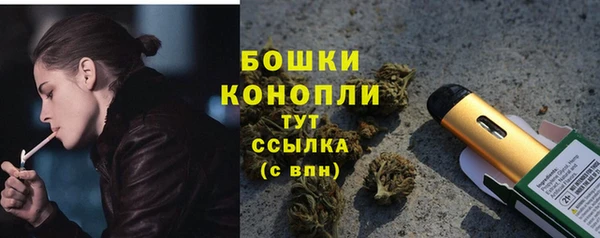 spice Беломорск