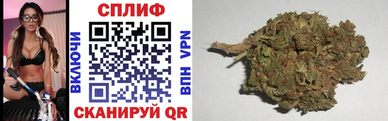 гидра ТОР  Каневская  Бошки марихуана Bruce Banner 